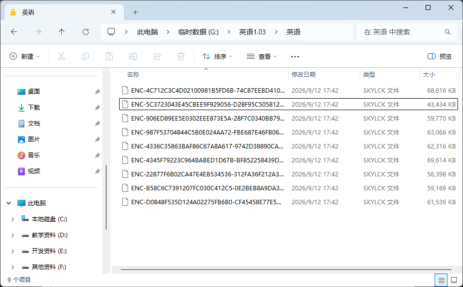 SkyFileLock加密后的文件列表